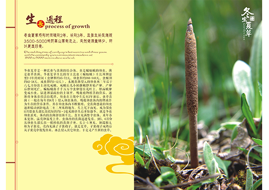 &#24320;&#20113;&#32593;&#39029;&#29256;&#45;&#24320;&#20113;&#40;&#20013;&#22269;&#41;